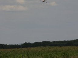 Maiden flight 2013 (97)